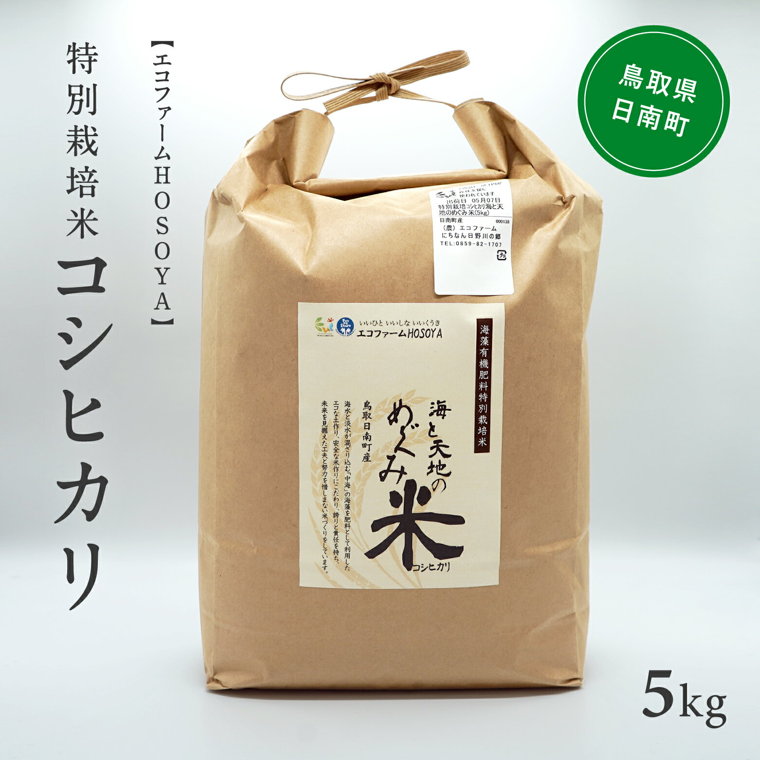 【ふるさと納税】令和5年産 海と天地のめぐみ米(コシヒカリ)白米 5kg