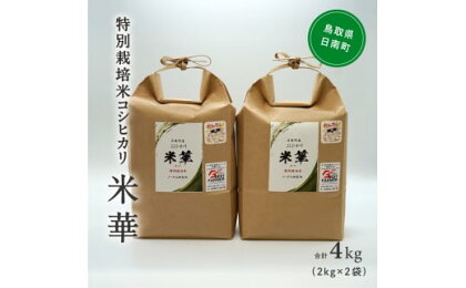 令和5年産 ノータス研究所 コシヒカリ2kg×2袋