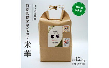 【6カ月お届け】令和5年産 ノータス研究所 コシヒカリ2kg