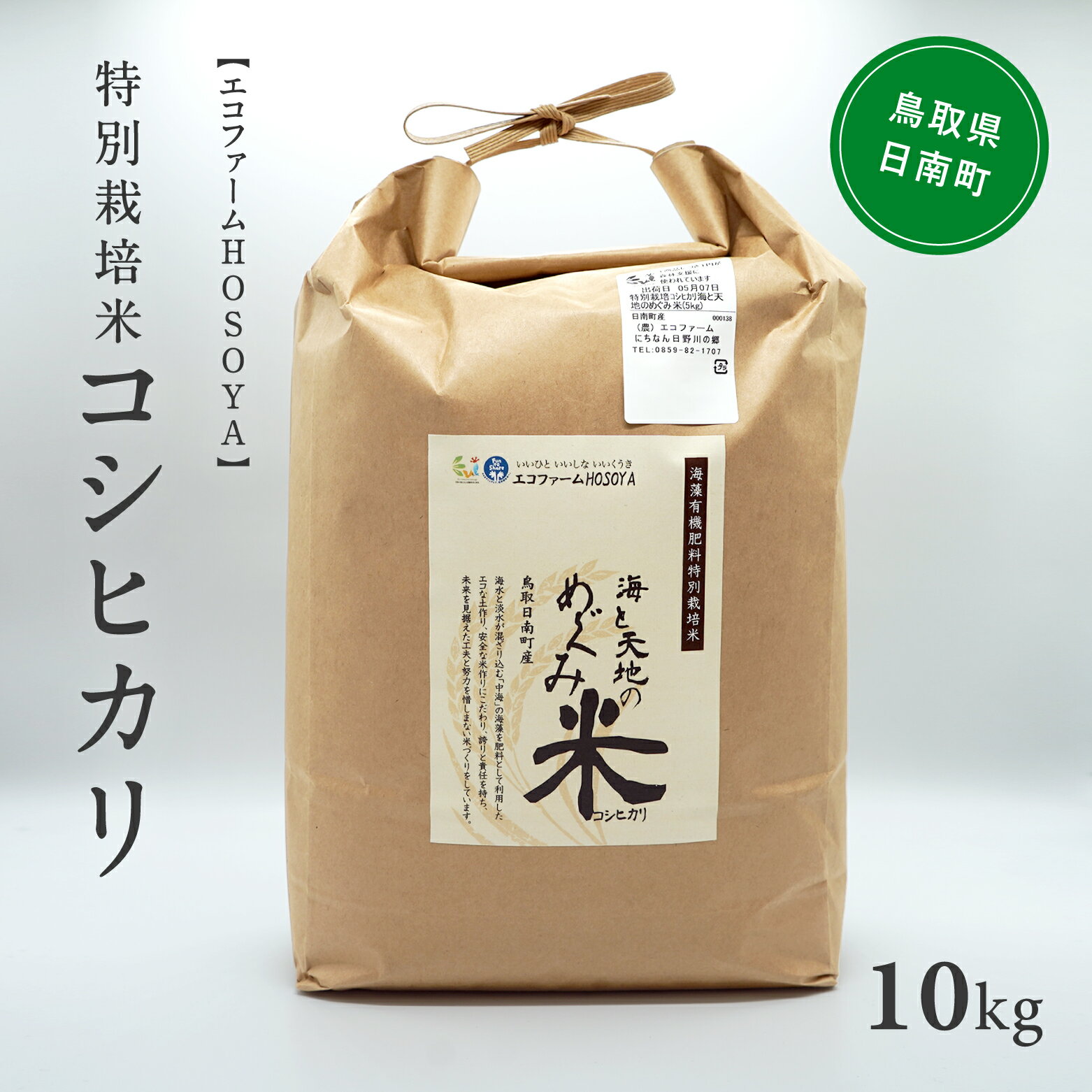 【ふるさと納税】令和5年産 海と天地のめぐみ米（コシヒカリ） 白米10kg