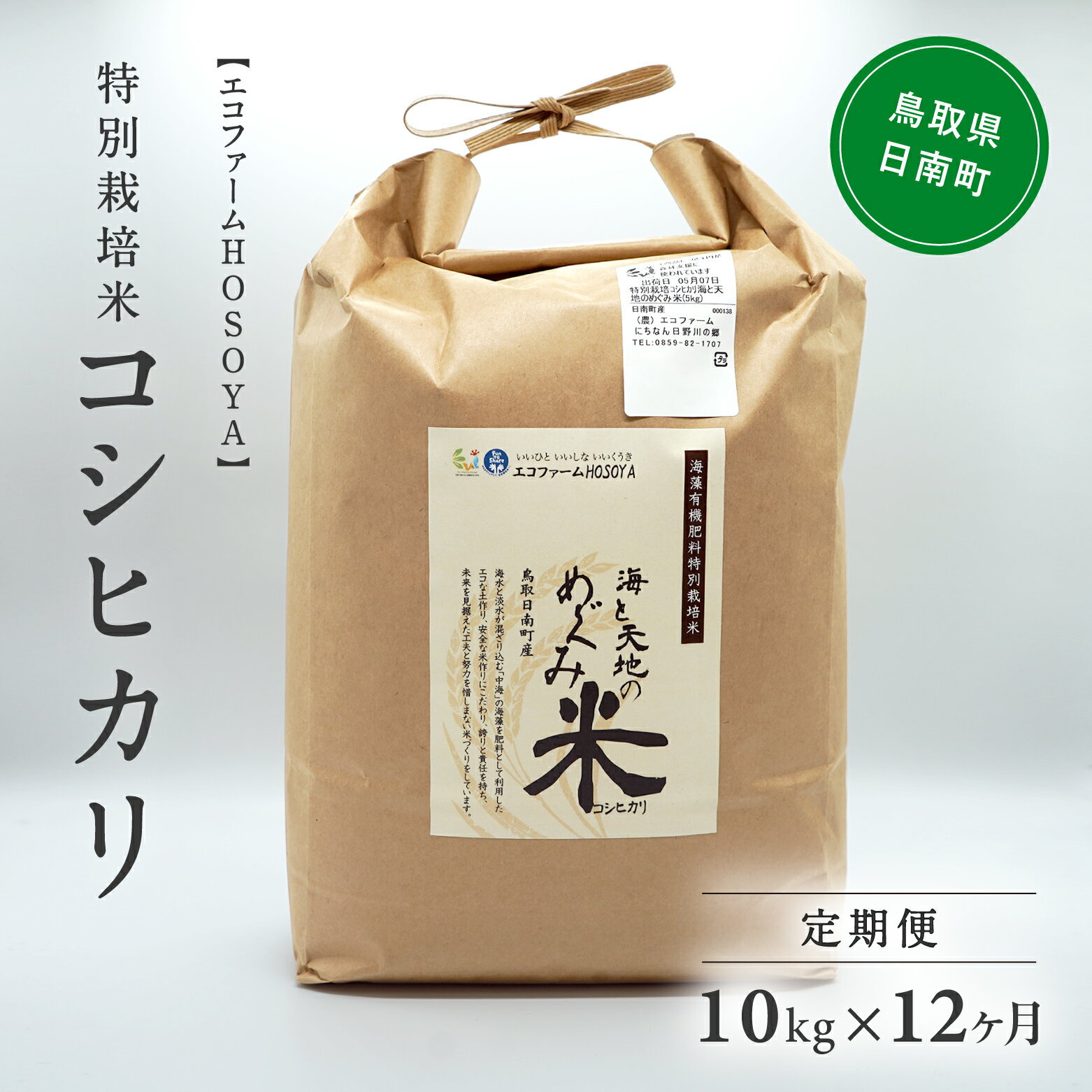 【ふるさと納税】【12カ月連続お届け】令和5年産 海と天地のめぐみ米（コシヒカリ） 白米10kg