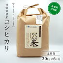 【6カ月連続お届け】令和5年産 海と天地のめぐみ米（コシヒカリ） 白米20kg