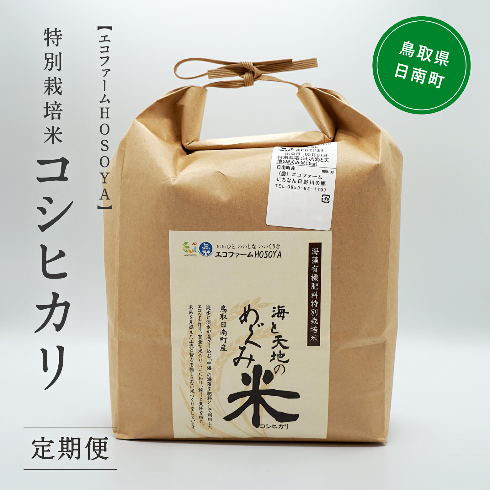 【ふるさと納税】【12カ月連続お届け】令和5年産 海と天地のめぐみ米（コシヒカリ） 白米20kg