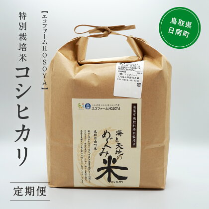 【12カ月連続お届け】令和5年産 海と天地のめぐみ米（コシヒカリ） 白米20kg