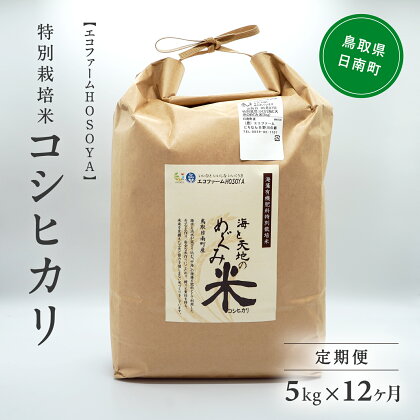 【12カ月連続お届け】令和5年産 海と天地のめぐみ米（コシヒカリ） 白米5kg