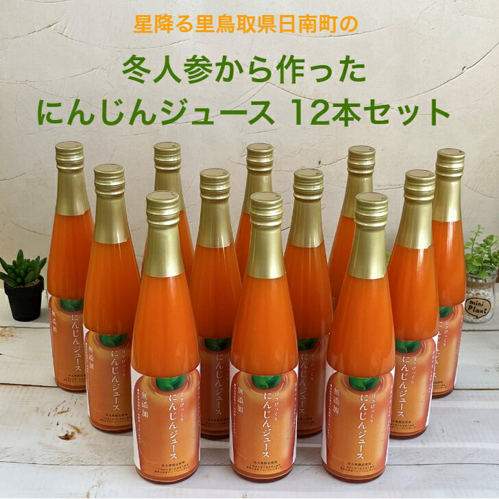 星降る里 鳥取県日南町の冬人参から作った にんじんジュース 12本 セット