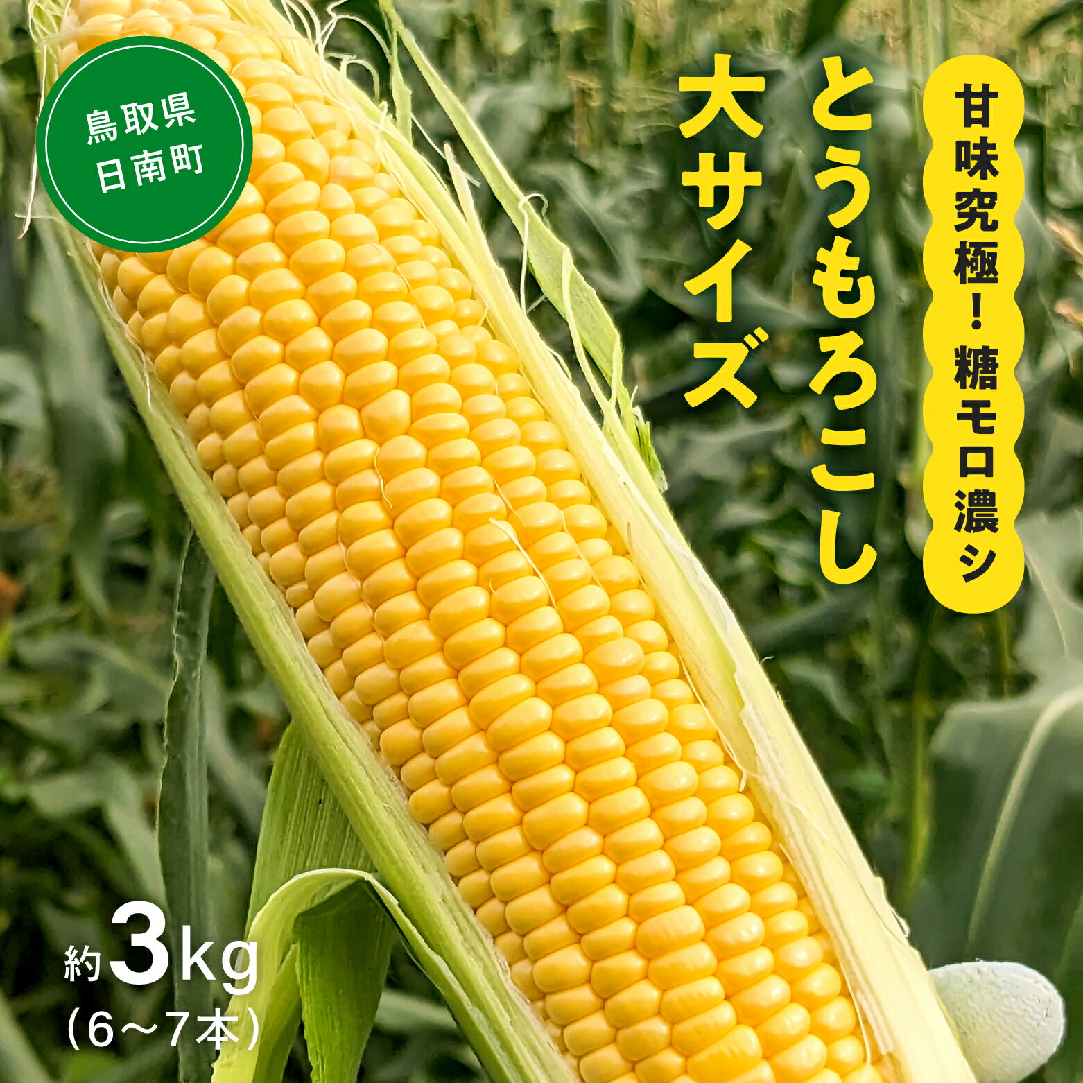 【ふるさと納税】甘味究極！ 糖モロ濃シ 大サイズ 3kg(6～7本)【とうもろこし】朝どれ直送 スイートコ..