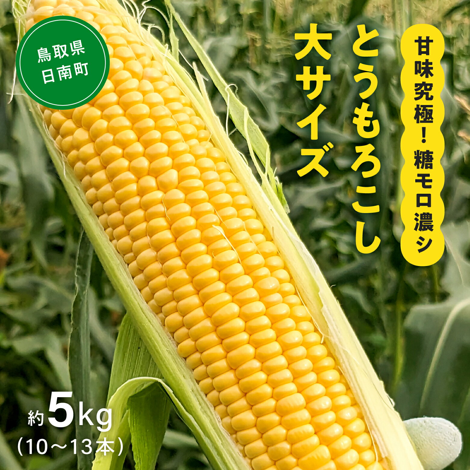 3位! 口コミ数「0件」評価「0」甘味究極！ 糖モロ濃シ 大サイズ 5kg(10～13本)【とうもろこし】朝どれ直送 スイートコーン 産地直送 【配送不可地域：北海道・東北・･･･ 