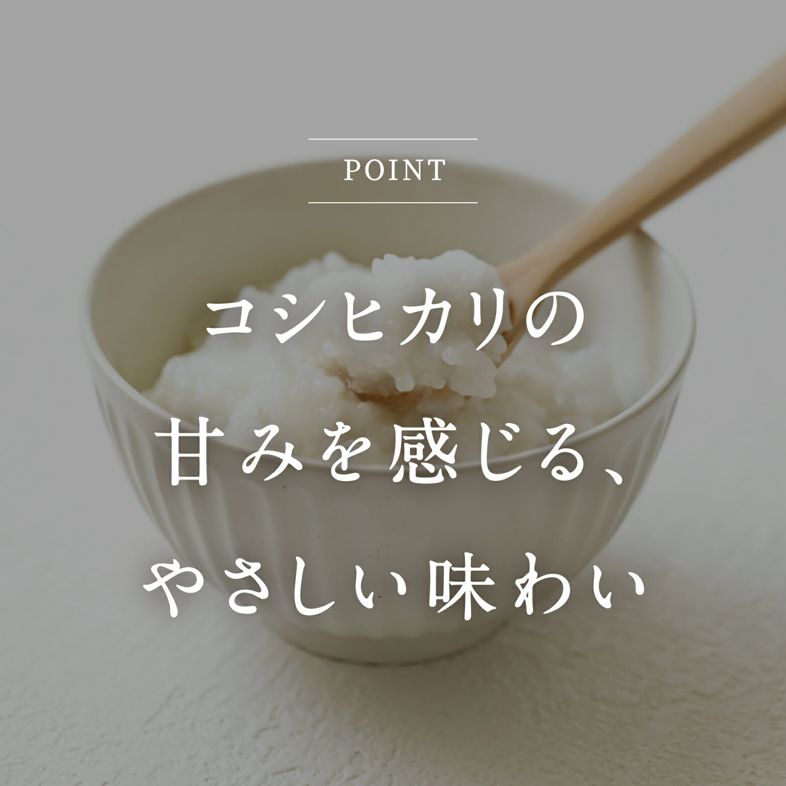 【ふるさと納税】コシヒカリの白粥 200g (12個・18個・36個からお選びください) おかゆ お粥 パックご飯 パックごはん コシヒカリ こしひかり おこめのみかた 電子レンジ レトルト ダイエット 76kcal 鳥取県日南町