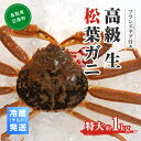 11位! 口コミ数「0件」評価「0」【北海道・沖縄・離島配送不可】【先行予約】ブランドタグ付高級生松葉ガニ(特大約1kgを1枚)OM-26 冷蔵発送 タグ付き 高級 生 活 活松葉ガニ 松葉がに かに 蟹 カニ 鳥取県境港 御来屋漁港 ・・・