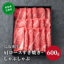 【ふるさと納税】鳥取和牛 肩ロース すき焼き・しゃぶしゃぶ 600g (300g×2) HN47【やまのおかげ屋】 和牛 肉 鳥取 日南町(4)
