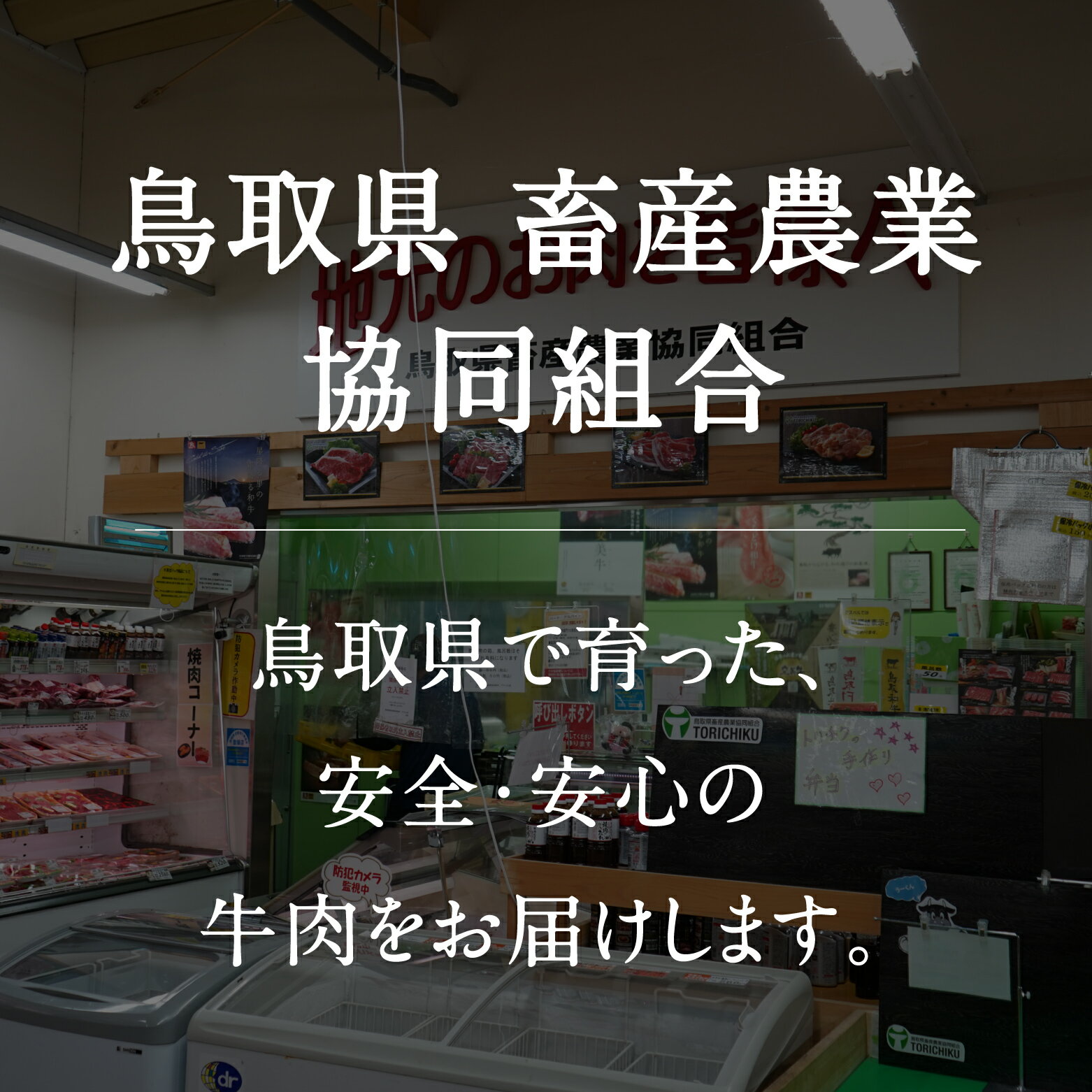 【ふるさと納税】鳥取和牛モモステーキ 約150g×2 もも モモ肉 和牛 牛肉 牛 肉 精肉 とりちく 鳥取県畜産農業協同組合