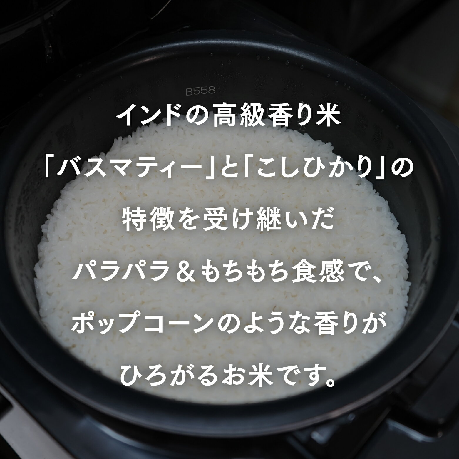 【ふるさと納税】カレーライス専用米 大山のプリンセスかおり 1.5kg 鳥取県産 特別栽培米 農薬不使用 化学肥料不使用