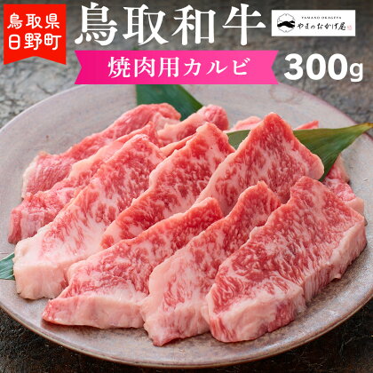 鳥取和牛 焼肉用カルビ（300g）【やまのおかげ屋】HN012-001和牛 牛肉 肉 鳥取県日野町