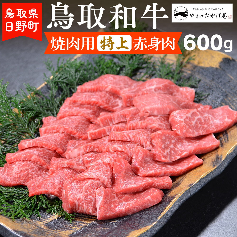 6位! 口コミ数「0件」評価「0」鳥取和牛 焼肉用特上赤身肉（600g）【やまのおかげ屋】HN024-002和牛 牛肉 肉 鳥取県日野町