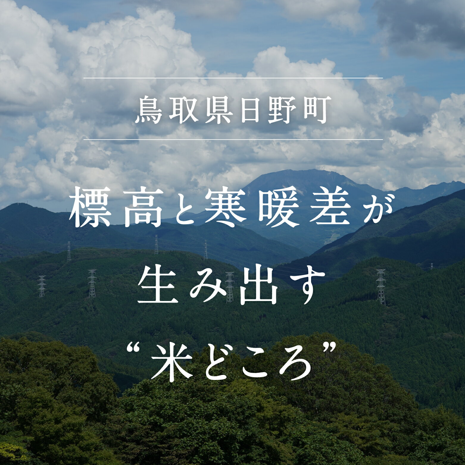 【10月以降発送予定】【ふるさと納税】【新米】【令和6年産】鳥取県産コシヒカリ 15kg（5kg×3袋）米 コシヒカリ こしひかり お米 白米 精米 5キロ おこめ こめ コメ 送料無料 真空パック包装 真空包装 長期保存 単一原料米 鳥取県日野町産 Elevation 予約