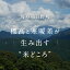 【3営業日以内発送】【ふるさと納税】12個/8,000円 18個/11,000円 36個/22,000円 コシヒカリ 玄米ごはん パックごはん 鳥取県日野町 米 こめ コメ 玄米パックご飯 パック ご飯パック ごはんパック こしひかり おこめのみかた 単一原料米 Elevation お試し