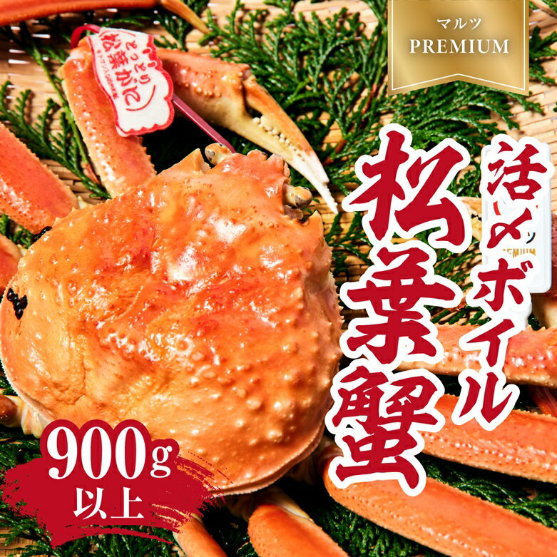 【早期先行予約】【マルツPREMIUM】タグ付き 活〆ボイル松葉蟹 900g以上 松葉ガニ 松葉がに 蟹 カニ かに 境港 マルツ 鳥取県日野町