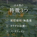 鳥取県日野町の画像3