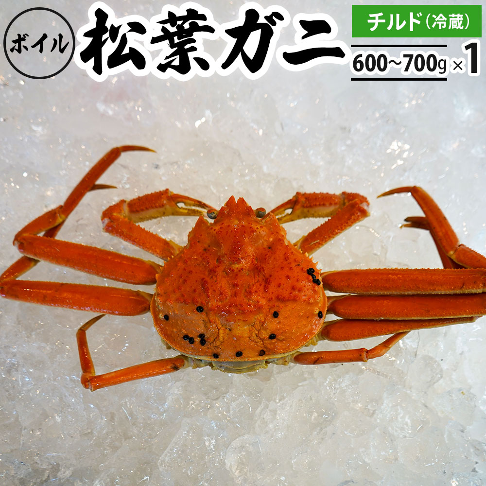 【ふるさと納税】【先行予約】ボイル松葉ガニ（600g～700