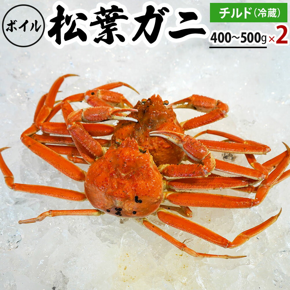 【ふるさと納税】【先行予約】ボイル松葉ガニ（400g～500