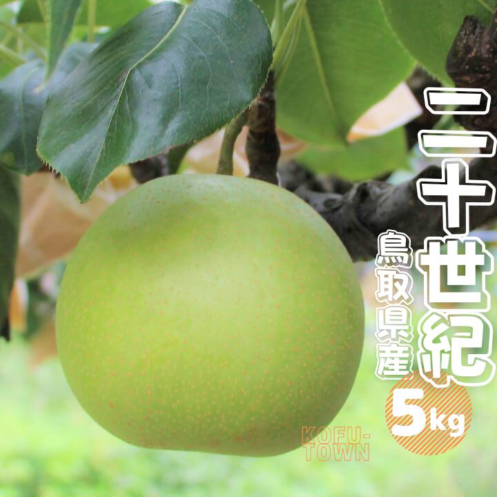 7位! 口コミ数「1件」評価「5」梨 二十世紀 秀 約5kg 10～20玉前後 鳥取県産 先行予約受付 2024年秋収穫分 なし5キロ TM23 0679