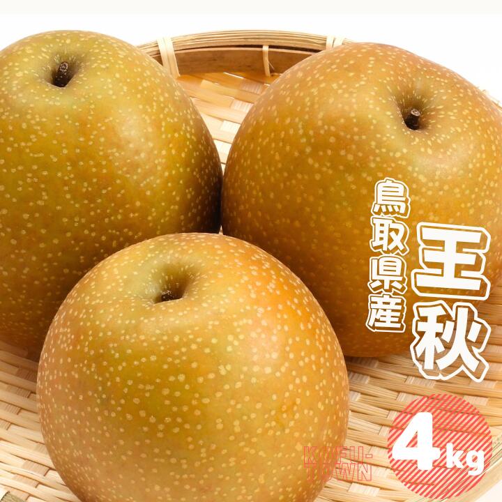 【ふるさと納税】王秋 梨4kg 4～13玉前後 鳥取県産 先行予約受付 2024年秋冬収穫分 なし 4キロ TM40 0695