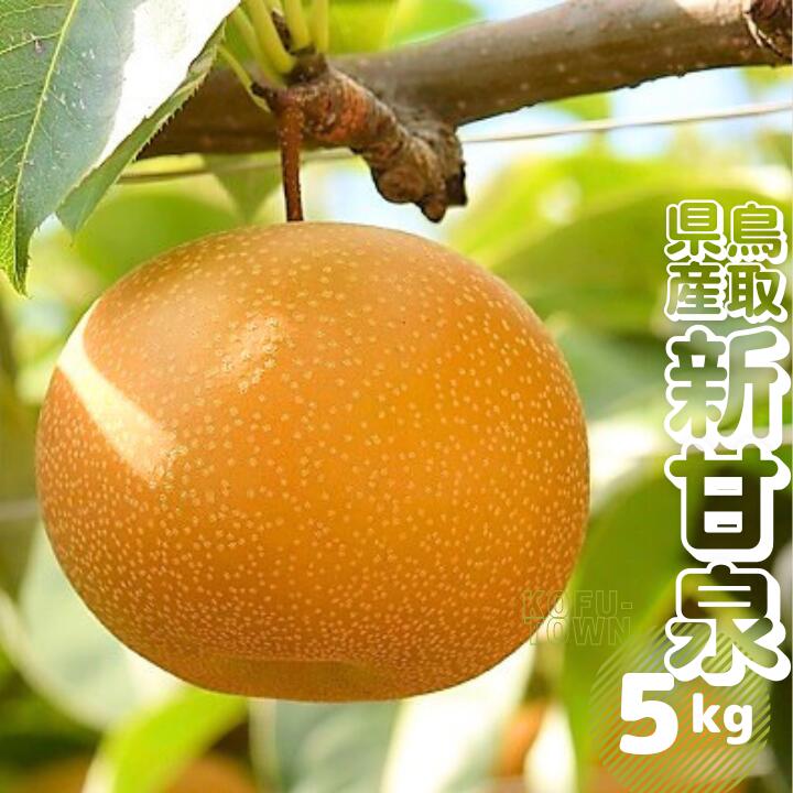 1位! 口コミ数「4件」評価「3.25」新甘泉 梨 約5kg 9～18玉前後 先行予約受付 2024年秋収穫分 鳥取県産 なし しんかんせん 5キロ TM28 0684