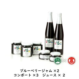 【ふるさと納税】＜奥大山ブルーベリーファーム＞ブルーベリーお楽しみセット 米子高島屋 36-BI3 0353