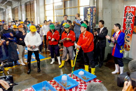 【ふるさと納税】＜お魚センターみくりや＞カニ 五輝星 松葉がに(ボイル) いつきぼし 1枚 限定数量（大山ブランド会）米子高島屋 発送11月中旬〜2月下旬前後 200-AT8 0311