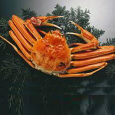 【ふるさと納税】松葉がに(大山ブランド会)高島屋 タカシマヤ 0312.100-T9