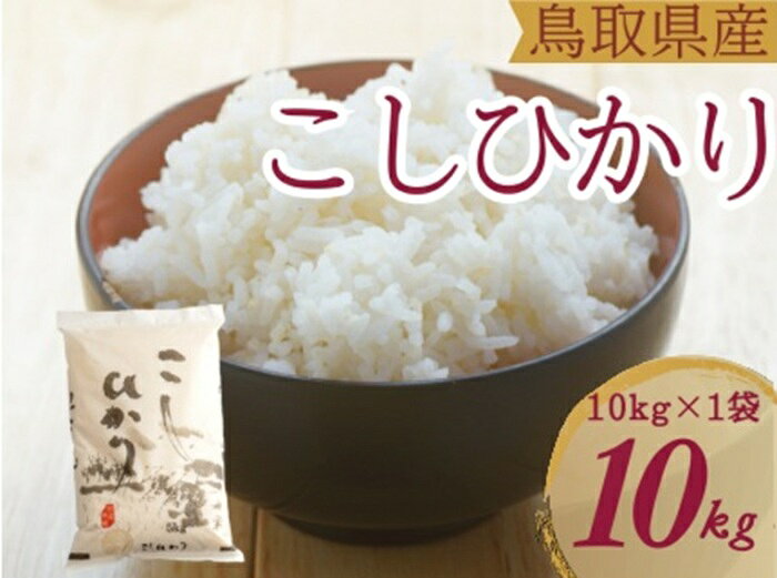 米 こしひかり10kg 鳥取県産 こめ 精米 コシヒカリ 令和8年産 送料無料 1053