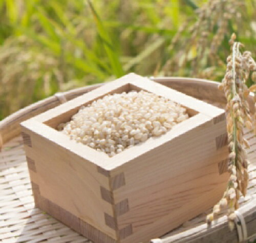 21位! 口コミ数「0件」評価「0」玄米 星空舞 10kg 鳥取県産 ほしぞらまい JAアスパル 10キロ お米 令和5年産 R5 0623