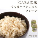 【ふるさと納税】GABA玄米もち麦パックごはん プレーン（12パック入り）きぬむすめ JA鳥取西部 アスパル 0937