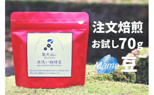 【ふるさと納税】スペシャルブレンド ブナの森 豆 お試し70g コーヒー 奥大山の水洗い珈琲 奥大山ブランド 0777