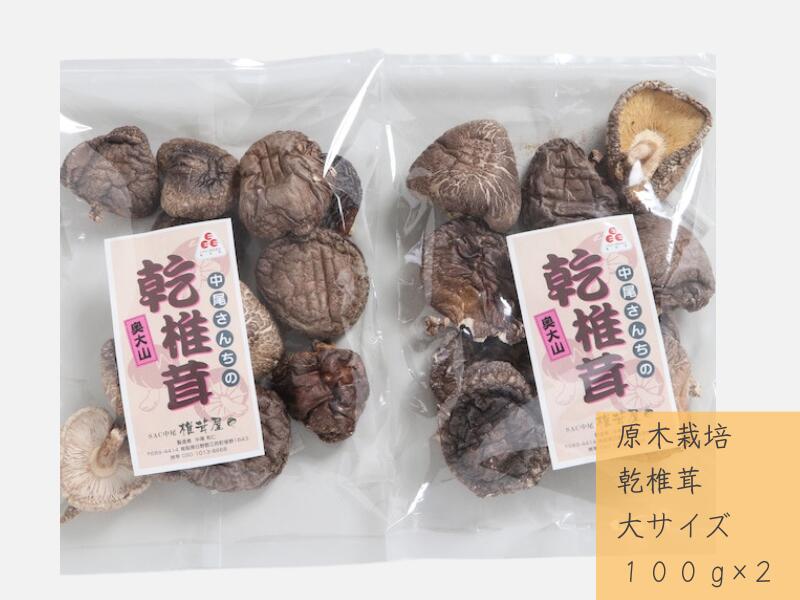 【ふるさと納税】中尾さんちの乾椎茸 大 100g 2袋 原木栽培 大きいサイズ 干しシイタケ / SAC中尾 椎茸屋 0799