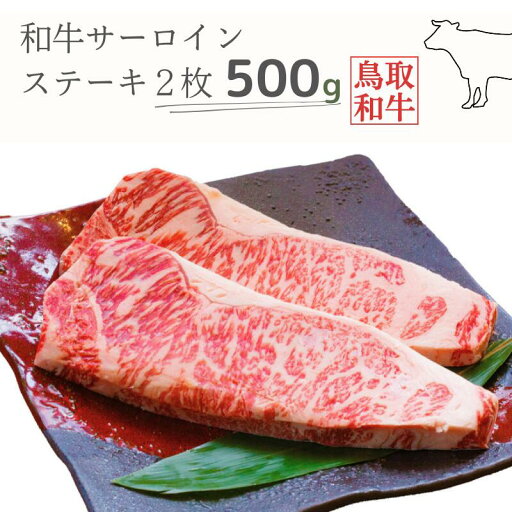 【ふるさと納税】鳥取和牛サーロインステーキ2枚 計500g 鳥取県産 ご当地ファーム大山望 MK10 1001 【ふるさと納税】鳥取和牛サーロインステーキ2枚 計500g 鳥取県産 ご当地ファーム大山望 MK10 1001