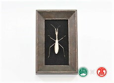 【ふるさと納税】銀の虫 カマキリ 額装 / metal insect series 180-d5 0641