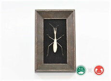 【ふるさと納税】銀の虫　カマキリ 額装 / metal insect series 180-d5 0641