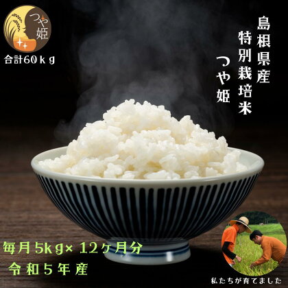 【定期便/全12回】【精米】感動米 特別栽培米つや姫 5kg×12回《134-01》