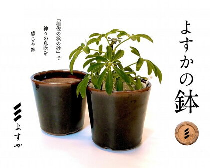 よすかの鉢 鉢 植木鉢 陶器 3号 出雲 島根県産 袖師焼 底穴 寄せ植え 植物 花器 オリジナル インテリア 松江《048-01》