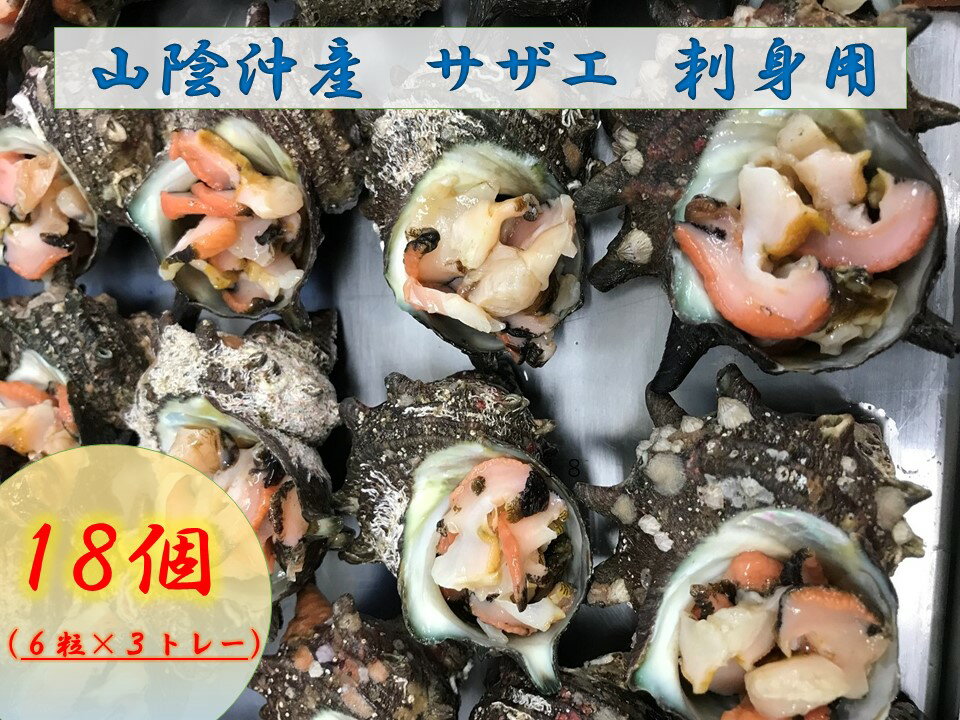 【ふるさと納税】山陰沖産サザエ刺身用スライス済み冷凍6粒×3トレー(18個)山陰サザエさしみスライス松江歯ごたえ《22017-04》