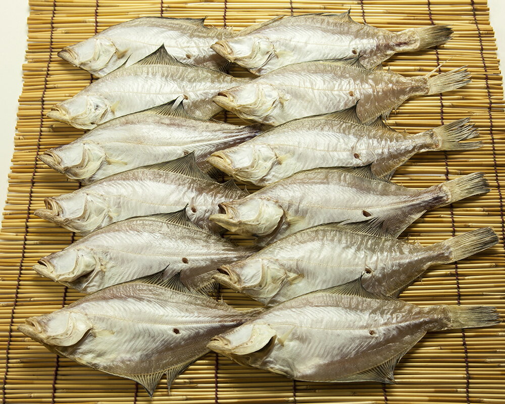 恵曇(えとも)エテカレイ一夜干しセット 魚 一夜干し カレイ 旨み 山陰 自然 松江[115-03]