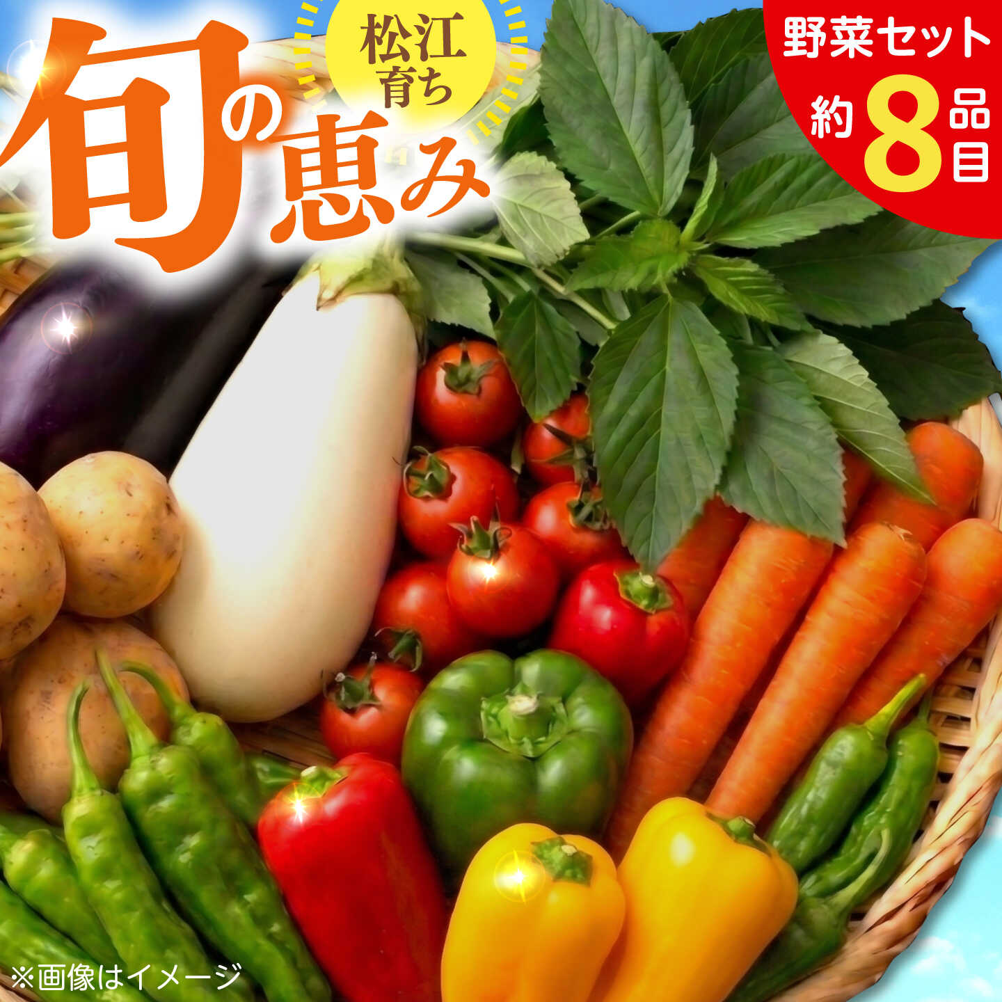 [旬の野菜セット]野菜 産地直送 詰め合わせ 栽培期間中農薬不使用 セット 島根県松江市/須山農園[ALBD004]野菜 セット 産地直送 詰め合わせ 旬の野菜 旬野菜 野菜詰め合わせ 国産野菜 新鮮野菜 オーガニック野菜 食品 健康志向 ヘルシー 季節野菜