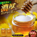 【ふるさと納税】特別な時間を演出する島根県産極上の蜂蜜 Vintage Honey(ヴィンテージハニー)300g×2個 瓶タイプ 島根県松江市/株式会社ナレッジ...