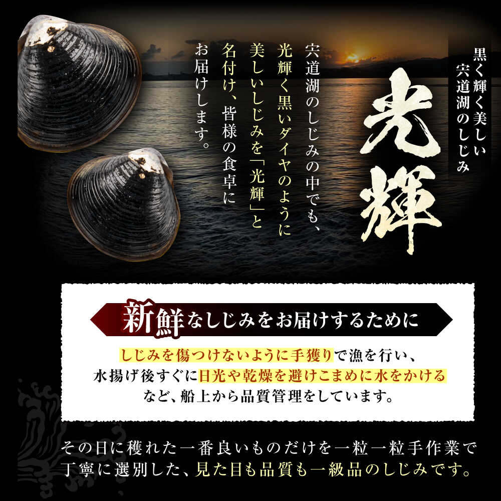 【ふるさと納税】【選べる サイズ お届け回数】 しじみ 産地直送！宍道湖産 冷凍大和しじみ4kg(500g×8) 砂抜き処理済 島根県松江市/りすたむmatsue 3回 6回 12回 定期便 Mサイズ Lサイズ[ALDE003]｜ しじみ シジミ 蜆 しじみ汁 味噌汁 みそ汁 宍道湖 しんじ湖 砂抜き 砂出し f322016-matsue-10002496 島根県松江市 サンプル画像3