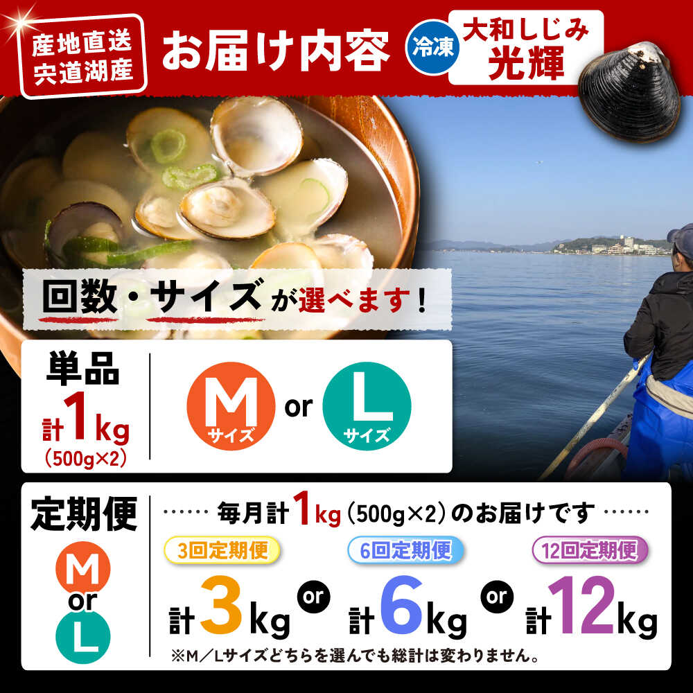 【ふるさと納税】【選べる サイズ お届け回数】 しじみ 産地直送！宍道湖産 冷凍大和しじみ 1kg(500g×2) 砂抜き処理済 島根県松江市/りすたむmatsue 3回 6回 12回 定期便 Mサイズ Lサイズ [ALDE005]｜ しじみ シジミ 蜆 しじみ汁 味噌汁 みそ汁 宍道湖 しんじ湖 砂出し