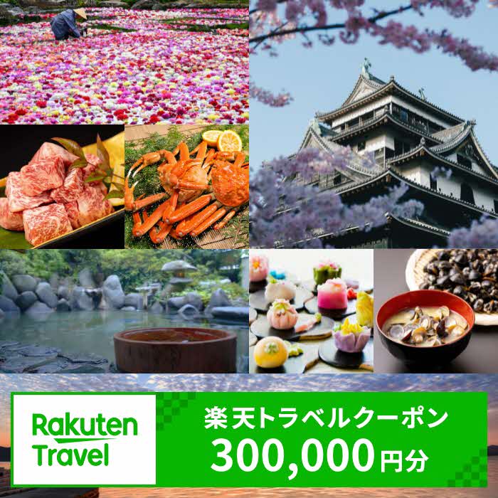 【ふるさと納税】島根県松江市の対象施設で使える楽天トラベルクーポン 寄附額100万円 島根県松江市/松江市ふるさと納税[ALGQ008]