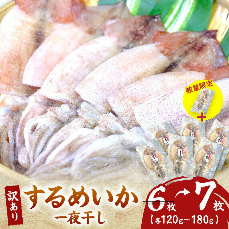 【ふるさと納税】【訳あり】 するめいか一夜干し（120g〜180gx6枚） 魚介類 いか するめいか 一夜干し 加工品 おつまみ 訳あり ふるさと納税 するめいか 【1837】のサムネイル
