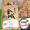 【ふるさと納税】【定期便】【令和5年産】浜田市金城町産こしひかり（5kg×6回） 【366】